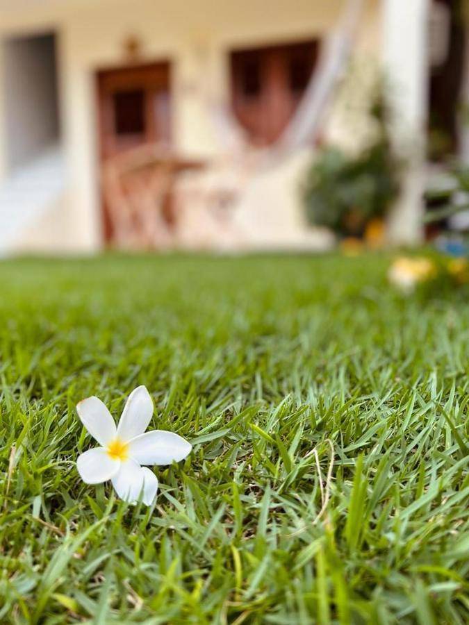Suite Das Flores Em Guajiru Trairi Extérieur photo
